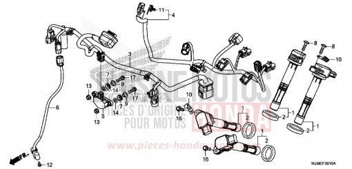 FAISCEAU SECONDAIRE VFR800XH de 2017